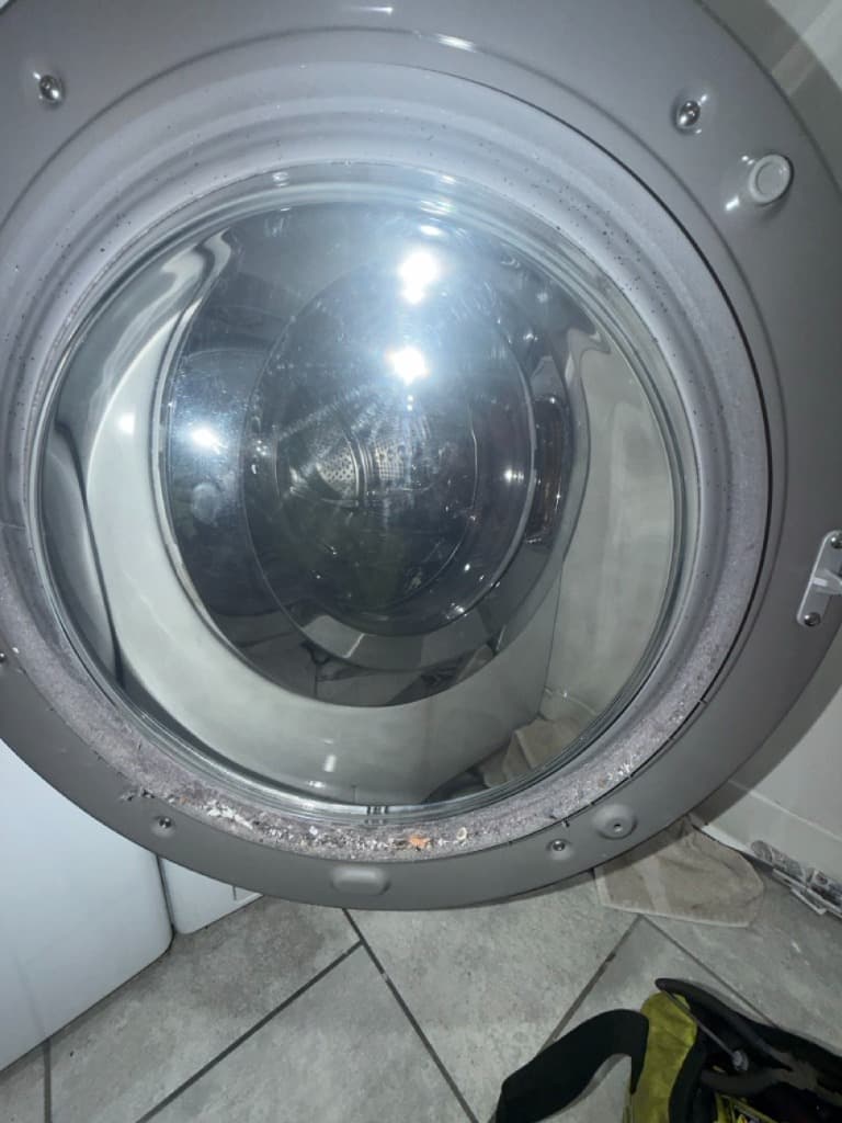 Filthy Washer Seal
